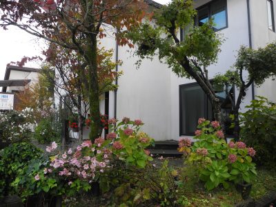 五感に心地良い家🏠 | BLOG